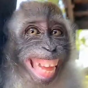 Meet your Posher, Kassidy